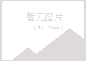 文峰区岑迷会计有限公司